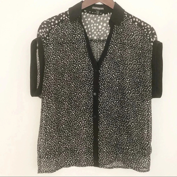 🍁 Express | Sheer Polka Dot Blouse - Picture 1 of 3